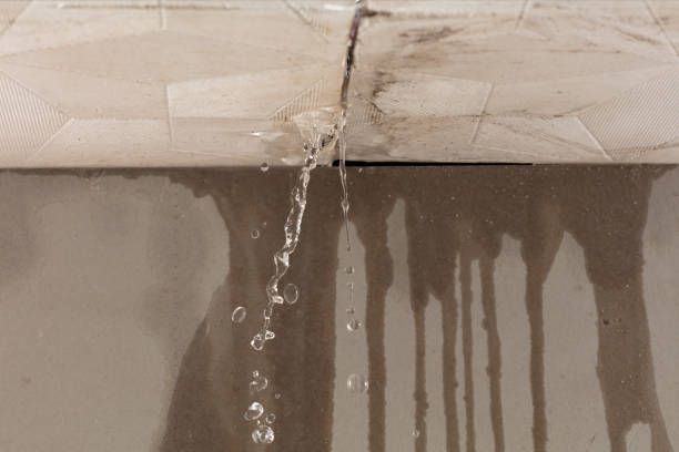 Professional Structural Drying technician working in Line Lexington, PA